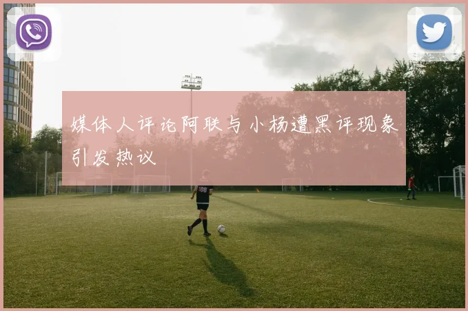 媒体人评论阿联与小杨遭黑评现象引发热议