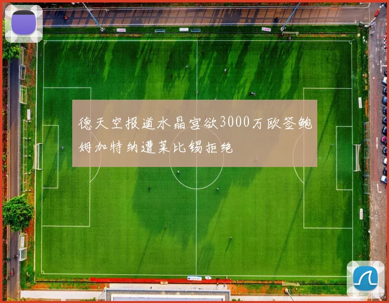 德天空报道水晶宫欲3000万欧签鲍姆加特纳遭莱比锡拒绝