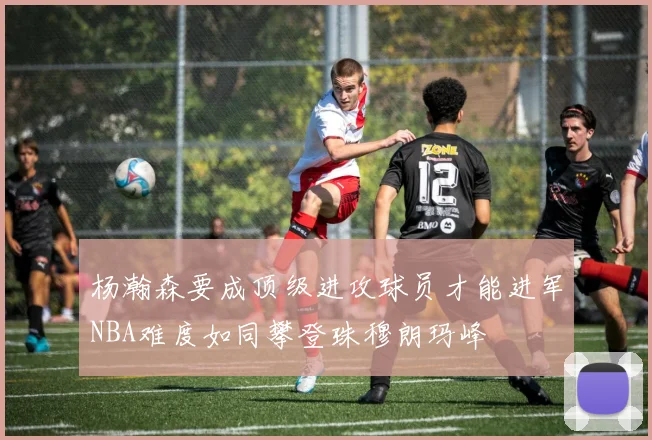 杨瀚森要成顶级进攻球员才能进军NBA难度如同攀登珠穆朗玛峰