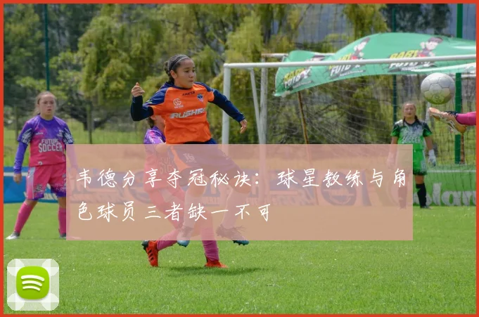 韦德分享夺冠秘诀：球星教练与角色球员三者缺一不可
